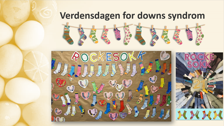Rockesokk