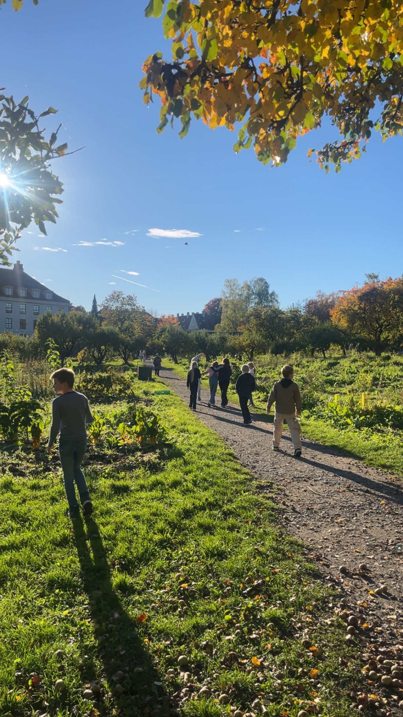En gruppe mennesker som går på en sti i en park