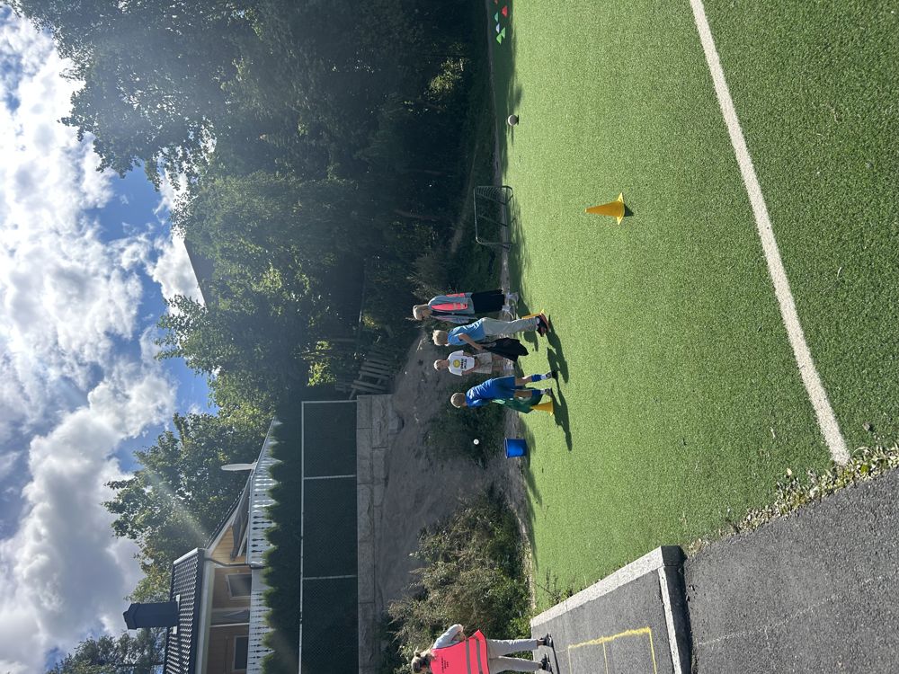 En gruppe mennesker på en gressbane